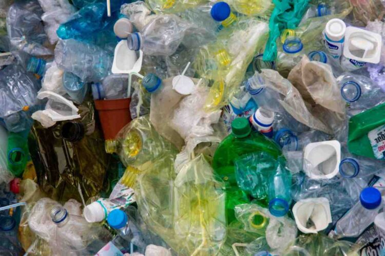 Dal 2025 le bottiglie cambiano colore: ecco perché non saranno più come prima- alanews.it