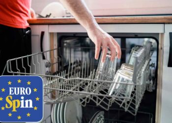 Eurospin fa il colpo grosso: lavastoviglie Candy a prezzo mai visto (ma solo online), stanno per terminare