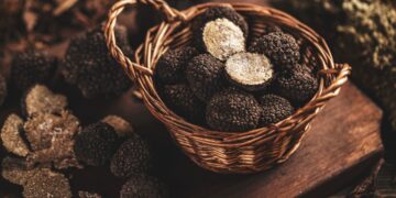 Quando passeggio nei boschi d’autunno, capisco finalmente da dove viene l’odore di gas dei tartufi