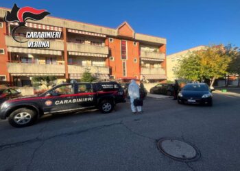 Gli investigatori del Ris dei Carabinieri durante le indagini sul femminicidio a Castelnuovo del Garda