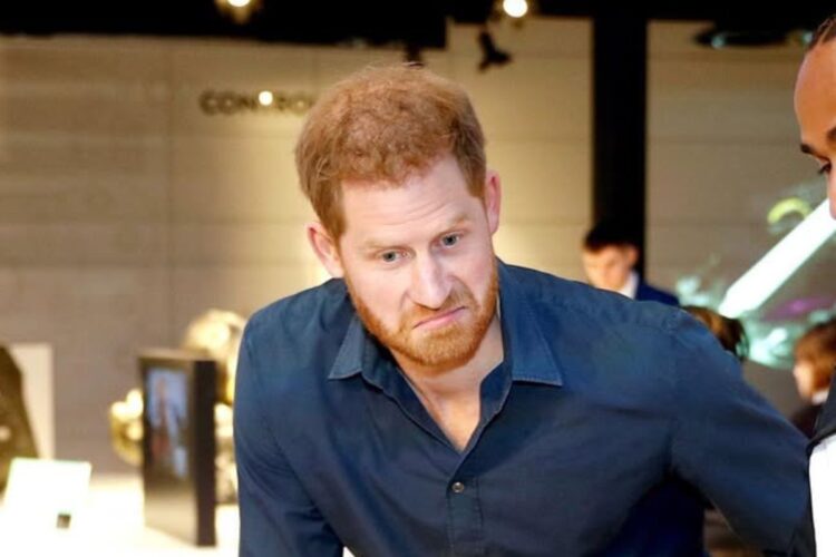 Il Duca di Sussex Harry