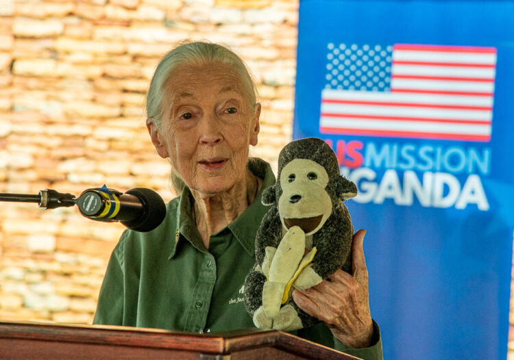 Jane_Goodall_visits_United_States_Mission_Uganda_on_4_April_2022@wikimedia.org