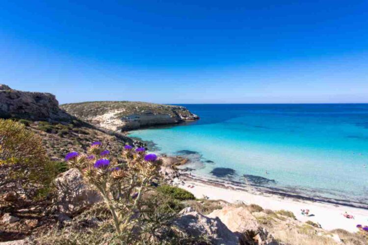 Il paradiso esiste e si chiama Piscina di Dio: la spiaggia che ha incantato il mondo intero (si trova in Italia) - www.alanews.it