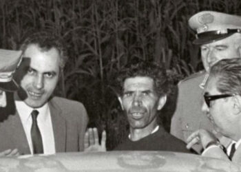 Le parole del legale di Stefano Mele sulla serie del Mostro di Firenze