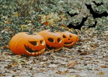 Le zucche intagliate sono uno degli elementi più riconoscibili di Halloween