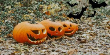 Le zucche intagliate sono uno degli elementi più riconoscibili di Halloween