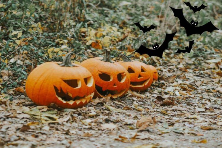 Le zucche intagliate sono uno degli elementi più riconoscibili di Halloween