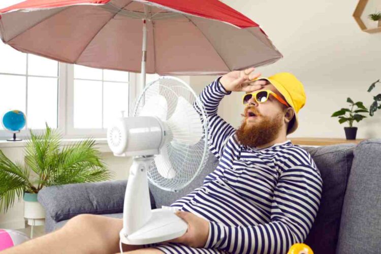 Dal gelo al ritorno dell’estate - alanews.it