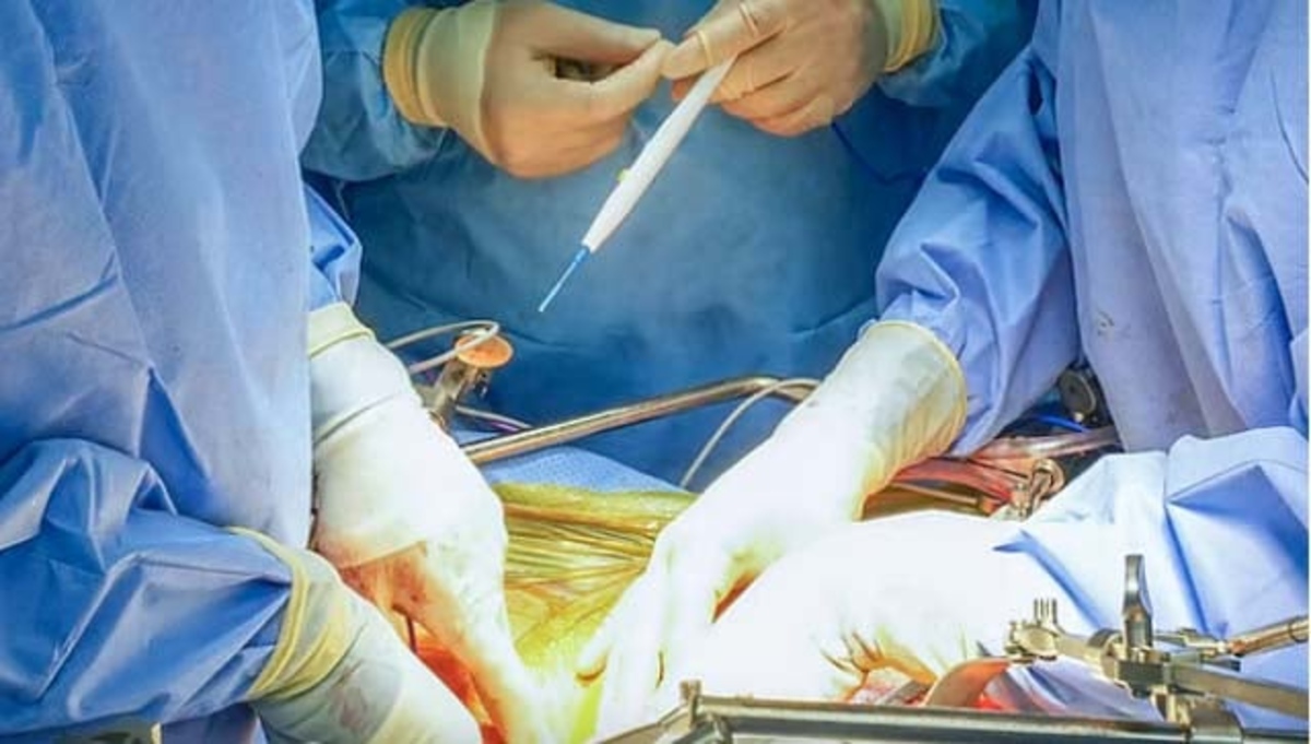 New Zealand 13enne ingerisce 100 magneti acquistati su Temu