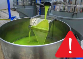 Olio di oliva