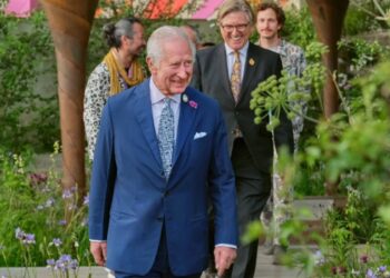 Re Carlo III ospita a Windsor Zelensky