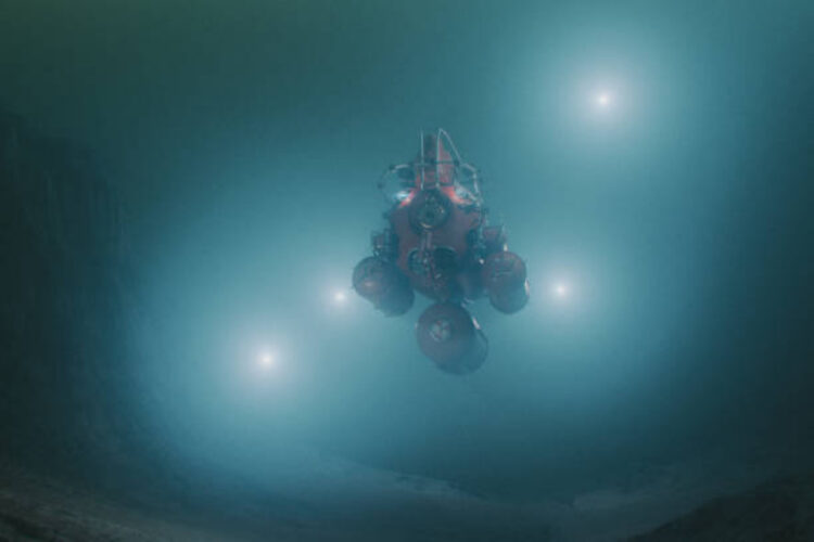 Scoperta negli oceani una spugna carnivora