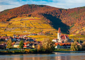 Non avevo mai visto i vigneti toccare il Danubio: la valle di Wachau regala scenari da sogno