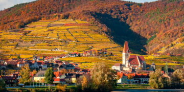 Non avevo mai visto i vigneti toccare il Danubio: la valle di Wachau regala scenari da sogno