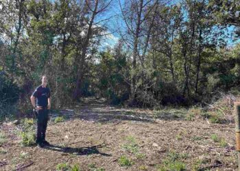 Un velivolo del 70° Stormo Latina dell'aeronautica militare è precipitato all'interno del Parco Nazionale del Circeo nel comune di Sabaudia
