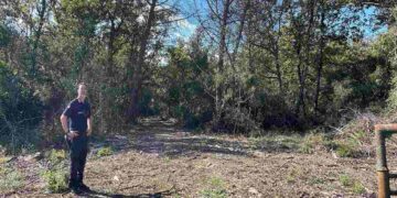 Un velivolo del 70° Stormo Latina dell'aeronautica militare è precipitato all'interno del Parco Nazionale del Circeo nel comune di Sabaudia