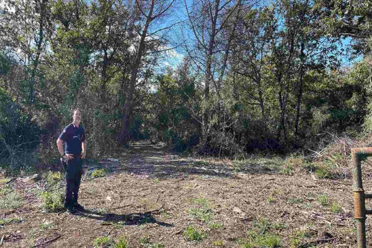 Un velivolo del 70° Stormo Latina dell'aeronautica militare è precipitato all'interno del Parco Nazionale del Circeo nel comune di Sabaudia