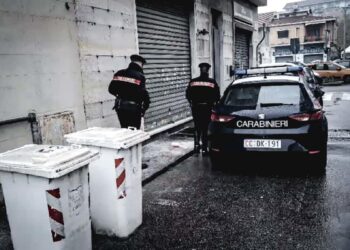 Uomo ucciso a coltellate a Collegno