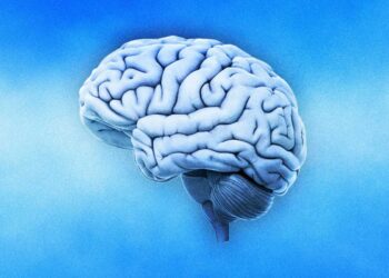 Ecco a che età il cervello è davvero al top: la scala dell’efficienza che pochi conoscono