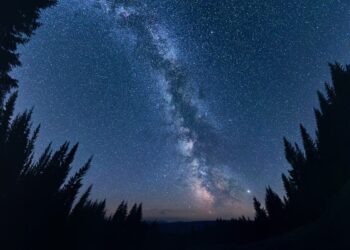 Più alberi che stelle: la sorprendente verità della Terra verde