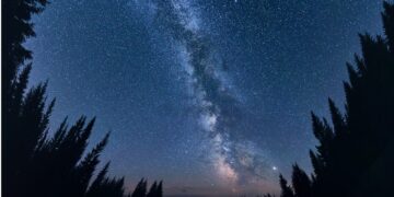 Più alberi che stelle: la sorprendente verità della Terra verde