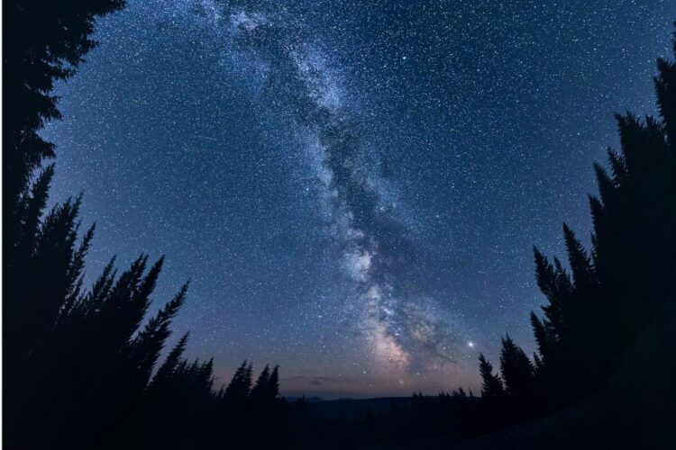 Più alberi che stelle: la sorprendente verità della Terra verde