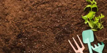 Cosa fanno davvero i giardinieri prima dell’inverno? Il dettaglio sulla terra che pochi conoscono