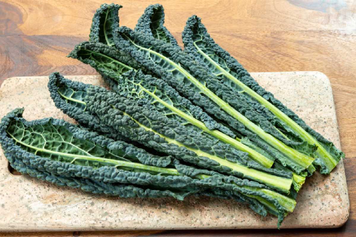 Cavolo nero toscano