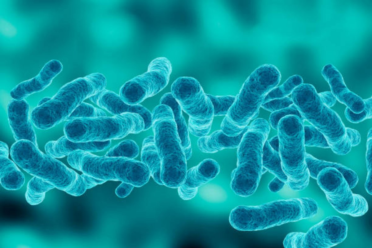 Cos'è la legionella