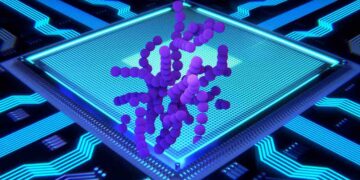 Dalla pelle umana ai dati digitali: il percorso sorprendente dei nuovi biocomputer