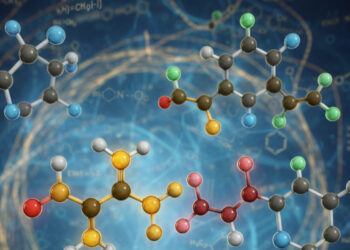 Curcumina, resveratrolo e polifenoli. Le molecole anti invecchiamento