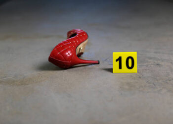 Femminicidi in Italia