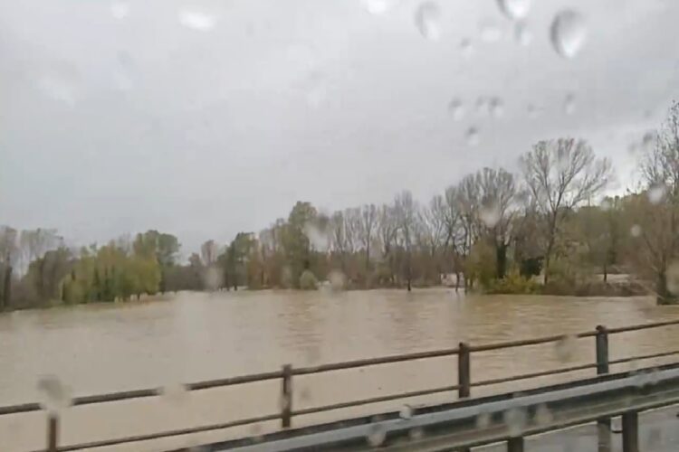 Il fiume Torre nel goriziano