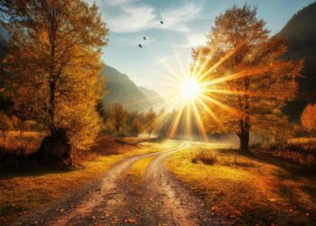 L'Estate di San Martino