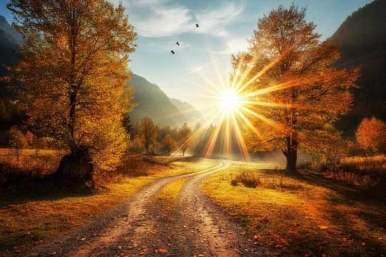 L'Estate di San Martino