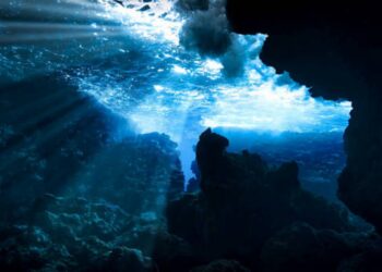 Scoperta sensazionale sul fondale degli oceani