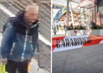 Un'immagine del presunto aggressore di piazza Gae Aulenti