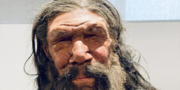 Uomo di Altamura Neanderthal