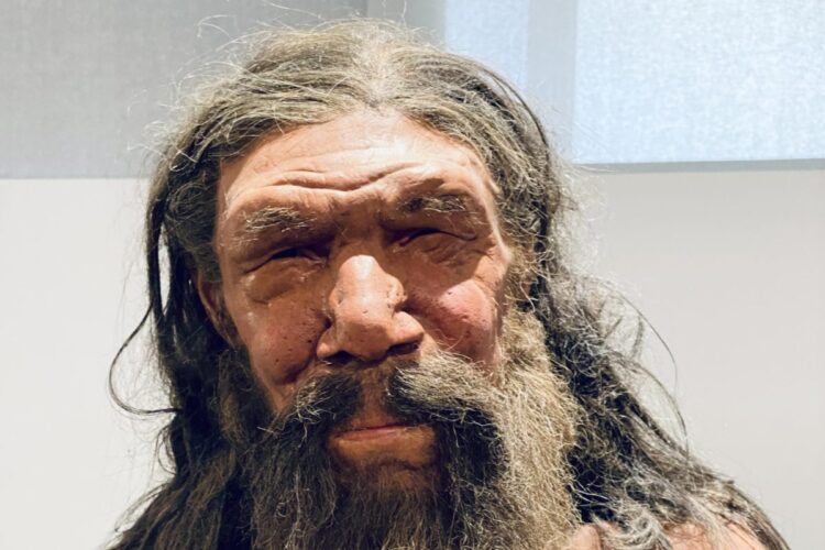 Uomo di Altamura Neanderthal