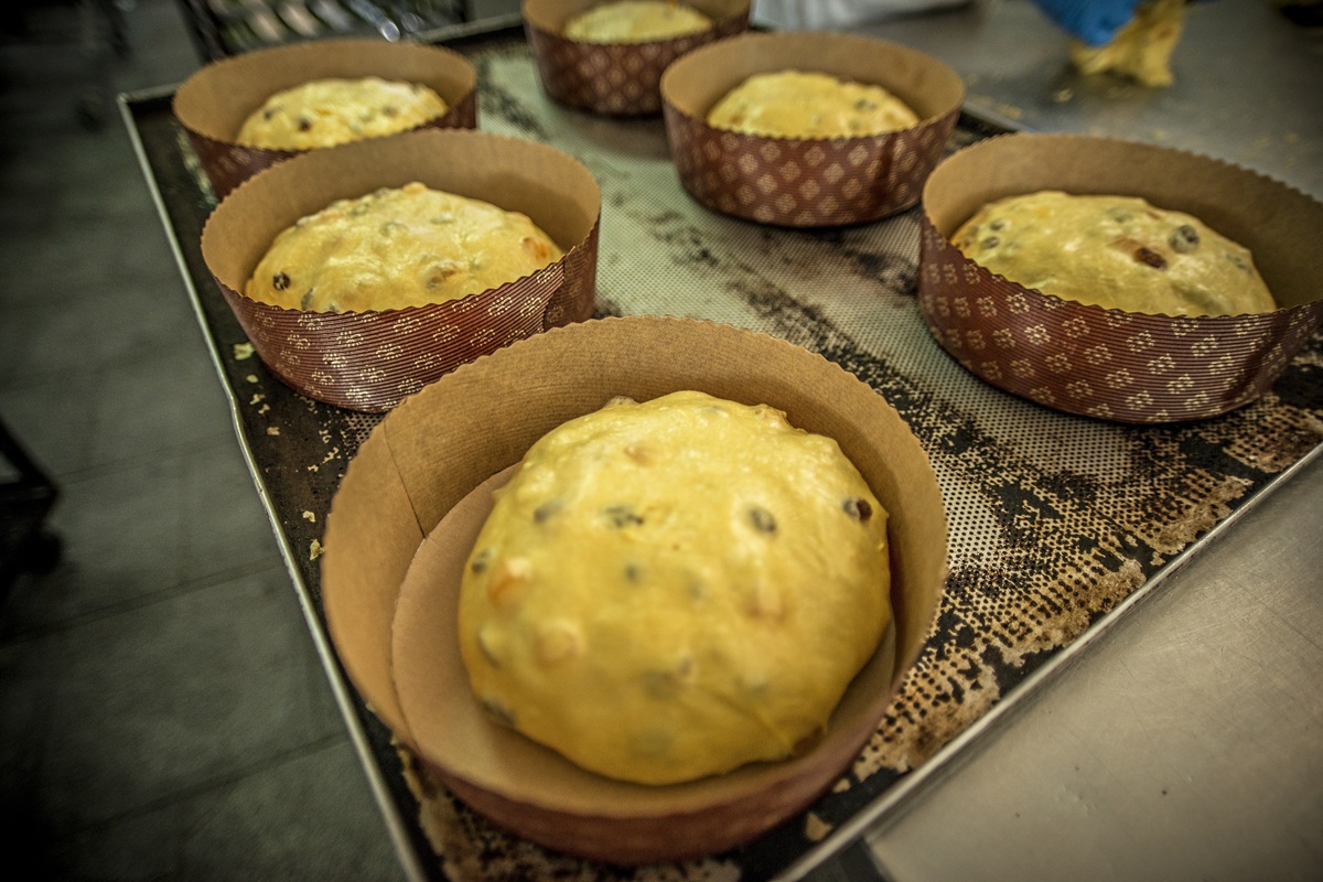 Workers work in the production line of an industry of panettones@alanewsWorkers work in the production line of an industry of panettones@alanewsWorkers work in the production line of an industry of panettones@alanews