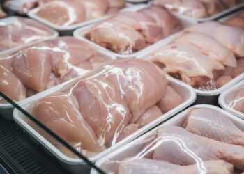 Confezioni di carne di pollo