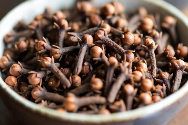 Chiodi di garofano