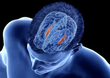 Rallentare l’Alzheimer prima che inizi: la scoperta che parte da movimento e stimolazione mentale