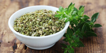 Origano calabro: la pianta mediterranea che sorprende per i suoi effetti
