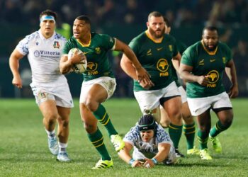 Rugby Italia Sudafrica