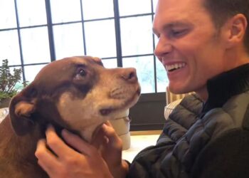 Tom Brady e il suo cane