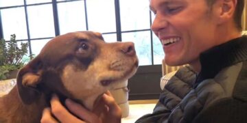 Tom Brady e il suo cane