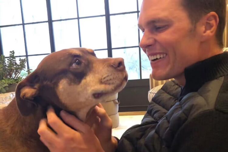 Tom Brady e il suo cane