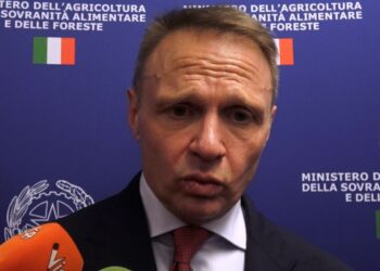 Francesco Lollobrigida