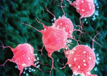 Allergia contro i tumori